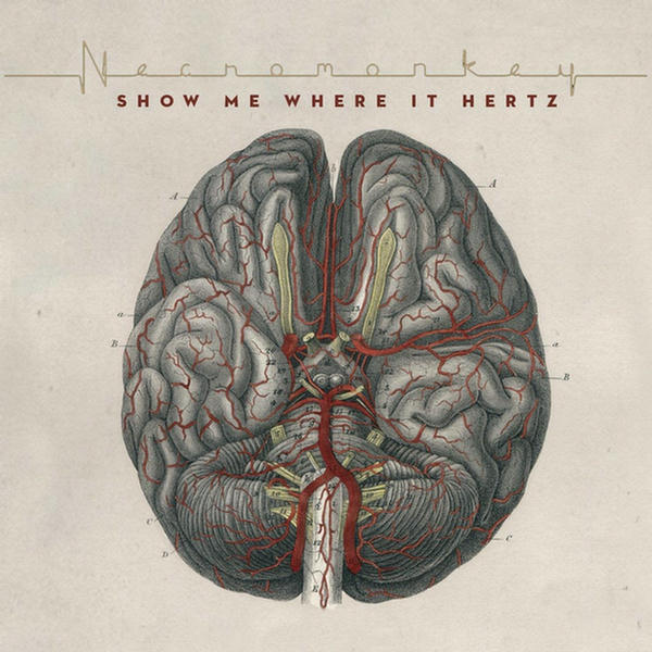 Show Me Where It Hertz